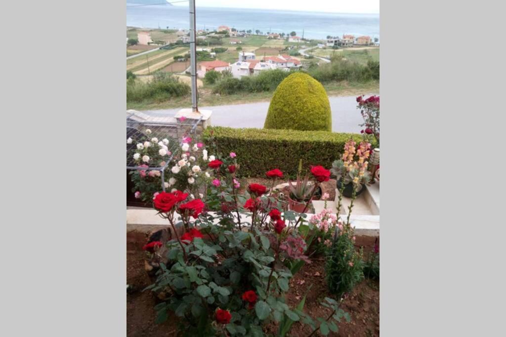 Villa Roses-Mourteri Exterior photo